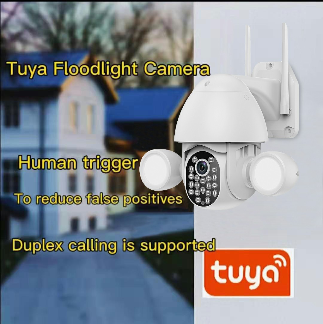 Tuya Smartlife APP Smart Beleu – Home Security Flood Lights Bewertung und Preis